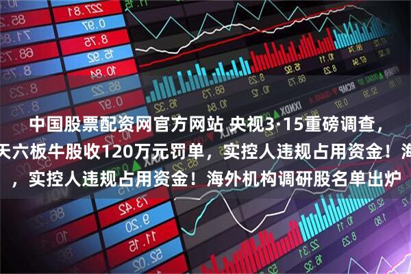 中国股票配资网官方网站 央视3·15重磅调查，这些领域黑幕重重！七天六板牛股收120万元罚单，实控人违规占用资金！海外机构调研股名单出炉